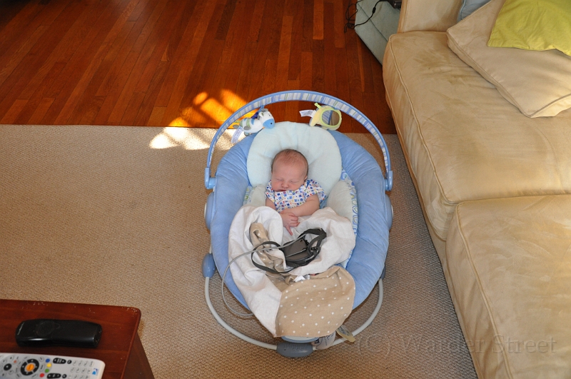 William's First Week 05.jpg